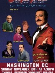 Silver Poet – شاعر نقره ای – WASHINGTON DC
