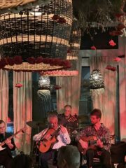 Persian Flamenco Jazz Group with Farzad Arjmand – PALO ALTO